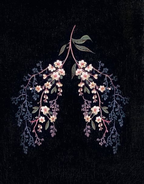 Lungs Art, Florence Welch, Medical Art, Dessin Adorable, Skull Tattoos, Art And Illustration, Sleeve Tattoo, Fantasy Illustration, Anatomy Art