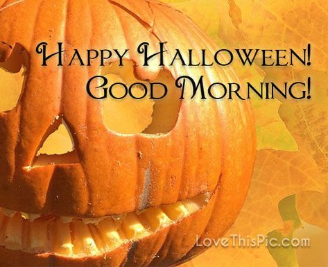 Good Morning Happy Halloween, October Greetings, Good Morning Halloween, Happy Halloween Gif, Happy First Day Of Spring, Fall Photography Nature, Happy Halloween Pictures, Reflection Pictures, Morning My Love