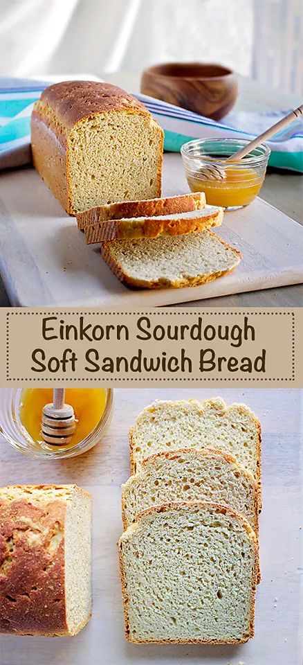 Einkorn Sourdough, Einkorn Bread, Sourdough Sandwich Bread, Einkorn Recipes, Sourdough Bread Sandwiches, Einkorn Flour, Sourdough Sandwich, Wheat Recipes, Sandwich Bread Recipes