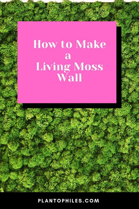 How to Make a Living Moss Wall Live Moss Wall Art Diy How To Make, Diy Living Moss Wall Art, Diy Live Moss Wall Art, Diy Living Moss Wall, How To Make A Moss Wall, Moss Wall Bathroom, Moss Wall Diy, Moss Wall Indoor, Sanctuary Aesthetic