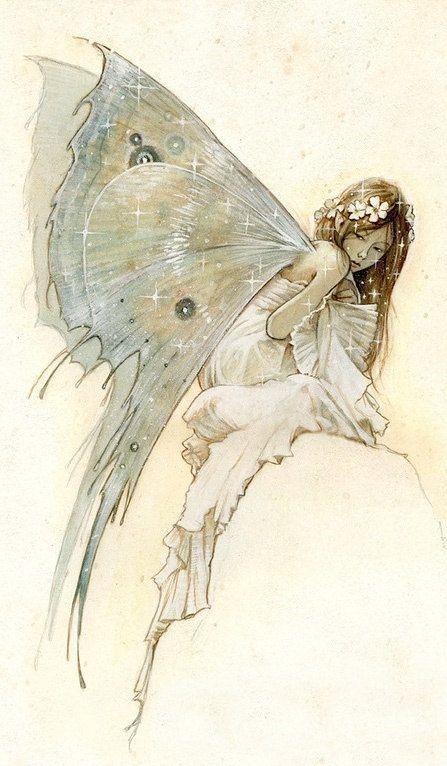 Fairies Drawing Aesthetic, Vintage Fairies Tattoo, Vintage Fairytale Art, Vintage Fairy Art, Fairy Wings Aesthetic, Faerie Art, Faery Art, Fairy Dragon, Fairy Aesthetic