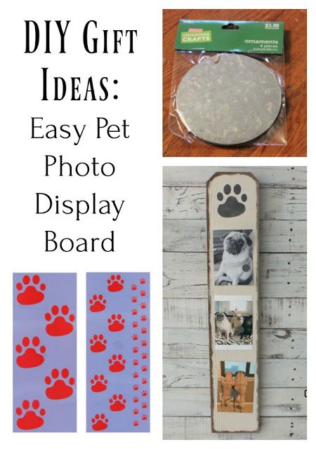 Easy Diy Dog Gifts, Inexpensive Diy Gifts, Photo Display Board, Dog Boarding Facility, Easy Gift Idea, Easy Pets, Dog Store, Store Ideas, Photo Display