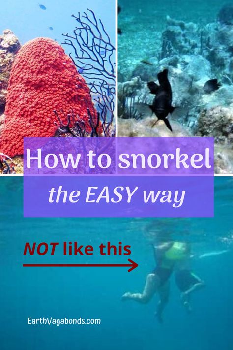 How To Snorkel, Thailand Activities, Koh Samui Beach, Best Snorkeling, Thailand Beaches, Swimming Activities, Easy Cheap, Underwater Life, Beach Adventure