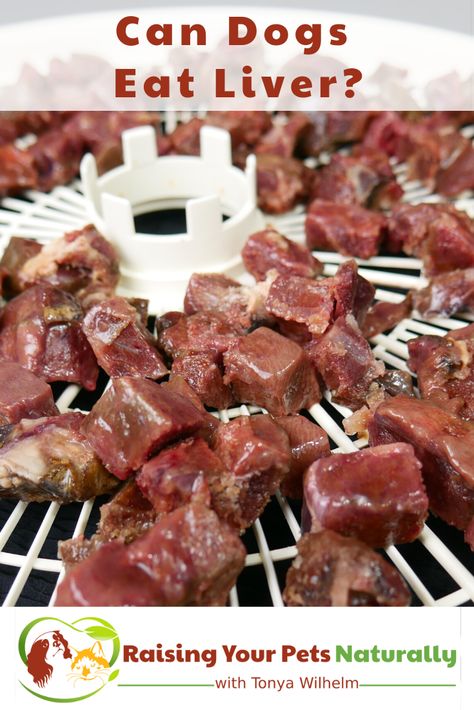 Dehydrated Beef Liver For Dogs, How To Cook Beef Liver For Dogs, How To Cook Liver For Dogs, Beef Liver Dog Food, Beef Liver Dog Treats Recipe, Beef Liver For Dogs, Beef Liver Benefits, Liver For Dogs, Liver Benefits