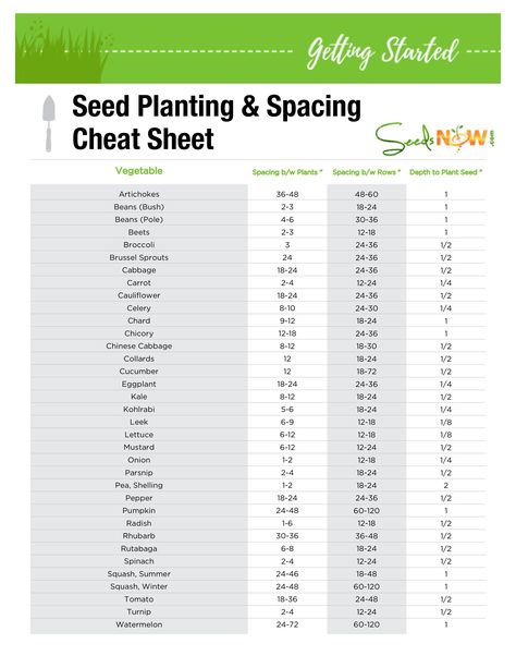 PRINTABLE! Seed Planting & Spacing Cheat Sheet | SeedsNow.com Seed Planting Guide, Gardening Layout, Growing Calendar, Seed Planting, Free Seeds, Ant Hill, House Planning, Layout Plan, Barley Grass