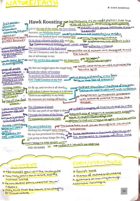 Hawk Roosting by Ted Hughes annotation analysis exam board wjec eduqas English literature poetry A Wife In London Analysis, Hawk Roosting Poem Analysis, Wjec Poetry Anthology, Wjec Eduqas Gcse Poetry Anthology, Eduqas Poetry Anthology, Ted Hughes Poetry, Gcse Poetry Anthology, Poetry Revision, English Literature Poems