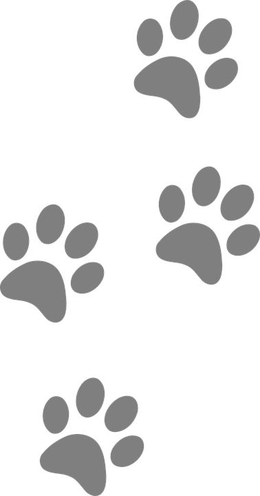 Footprints Animal Dog - Free vector graphic on Pixabay Dog Paw Drawing, Cow Eyes, Dogs Drawing, Paw Drawing, Dogs Paw, Cat Footprint, Ideas For Dogs, Dog Paw Tattoo, Paw Tattoo