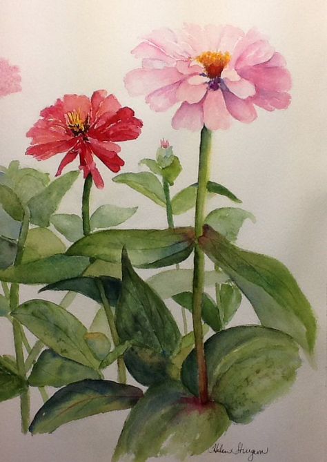 100 Easy Watercolor Painting Ideas For Beginners 5A9 Zinnia Watercolor Paintings, Easy Watercolor Painting Ideas, Watercolor Painting Ideas For Beginners, Red Zinnia, Easy Watercolor Painting, Watercolor Painting Ideas, Doodle Art Flowers, Painting Ideas For Beginners, Watercolor Pictures