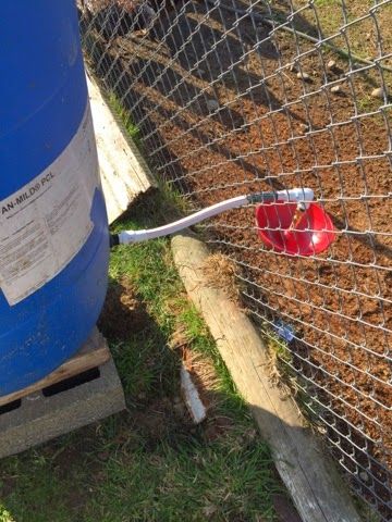 Pig Waterer, Hobby Farming, Goat Herding, Chicken Waterer, Goat Kidding, Rain Barrel, Hobby Farms, Self Watering, Farm Life