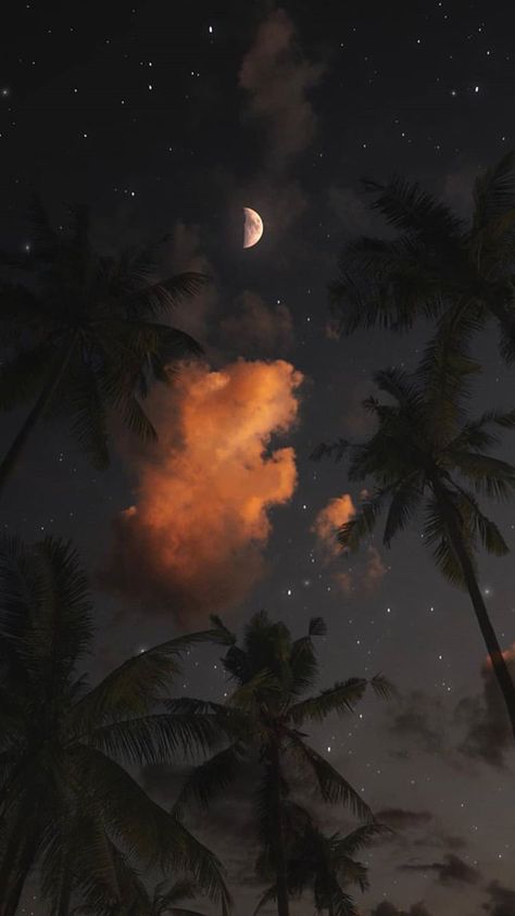 Phone Wallpaper Boho, Night Sky Photography, Scenic Wallpaper, Cute Blue Wallpaper, 2160x3840 Wallpaper, Cute Black Wallpaper, Cool Backgrounds Wallpapers, Cellphone Wallpaper Backgrounds, Live Wallpaper Iphone