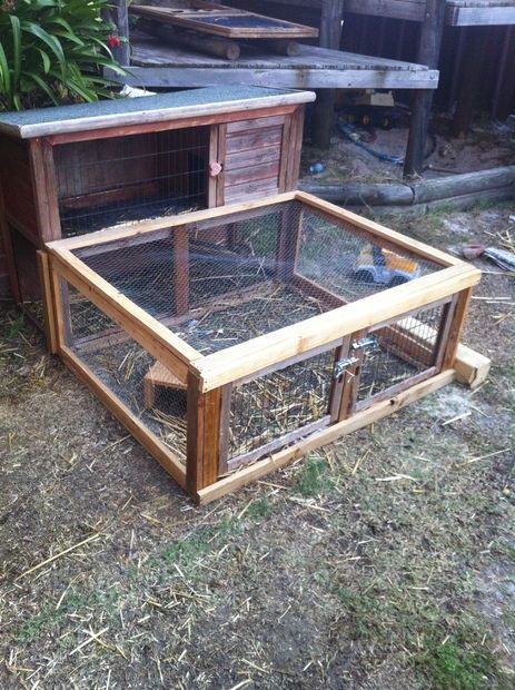 Hedgehog Habitat, Rabbit Hutch And Run, Rabbit Hutch Plans, Guinea Pig Run, Guine Pig, Rabbit Hutch Indoor, Diy Rabbit Hutch, Diy Guinea Pig Cage, Guinea Pig Hutch