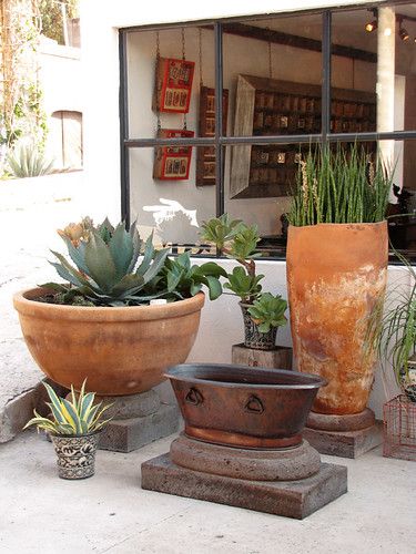 Pot Grouping, Atrium Greenhouse, Compact Garden, Big Pots, Mexican Garden, Potted Succulents, Desert Garden, Garden Containers, Cactus Garden