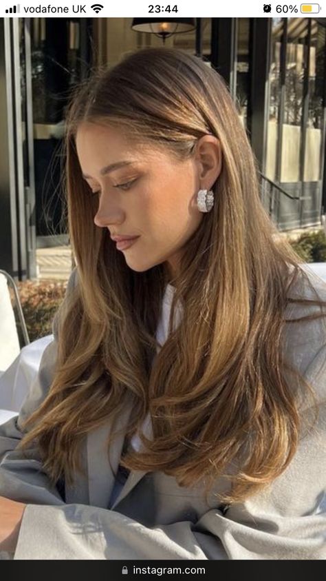 Golden Caramel Brown Hair, Clean Girl Hair Color, Light Brown Hair With Minimal Highlights, Warm Honey Brunette, Brown Eyes Light Hair, Ash Gold Hair, Mousy Brown Hair Natural, Natural Golden Brown Hair, Light Brunette Aesthetic