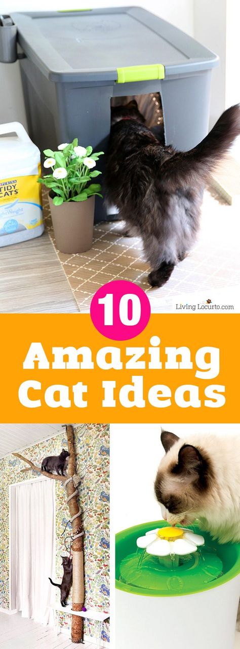 Katt Diy, Katt Grejer, Chat Diy, Gatos Cool, Cool Cat Toys, Cat Fun, Kitty Litter, Diy Cat Toys, Cats Diy Projects