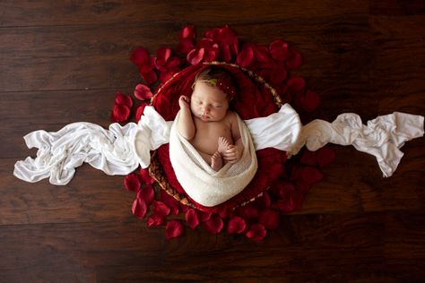 Valentines Day Newborn Pictures, Valentine Newborn Pictures, Valentine’s Day Newborn Photos, Newborn Baby Valentines Photoshoot, Newborn Valentine Pictures, Valentines Newborn, Valentines Baby Photos, Baby Fashion Girl Newborn, Newborn Family Pictures