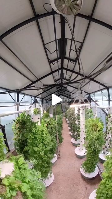 Agrotonomy on Instagram: "Located 60km. from Berlin, Germany — This vertical farm using aeroponic towers is known as Landware where they grow 10,000 kg. of fresh produce annually and the entire farm is sustainably powered by a CO2-neutral wood gasification system, while the crops are delivered with eco-friendly transportation such as electric cars. @landware.de  #germany #farming #agriculture #verticalfarming #greenhouse #spreewald #aeroponics #hydroponics" Agrotonomy Tower Farms, Vertical Farming Design, Aeroponics System, Roof Greenhouse, Hydroponic Greenhouse, Vertical Farm, Greenhouse Farming, Hydroponic Farming, Farming System