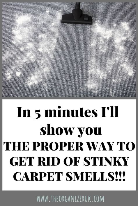 Carpet Wrinkles, Smelly Carpet, Pee Stains, Smell Remover, Carpet Smell, Carpet Freshener, Removing Carpet, Basement Carpet, Carpet Cleaner Homemade