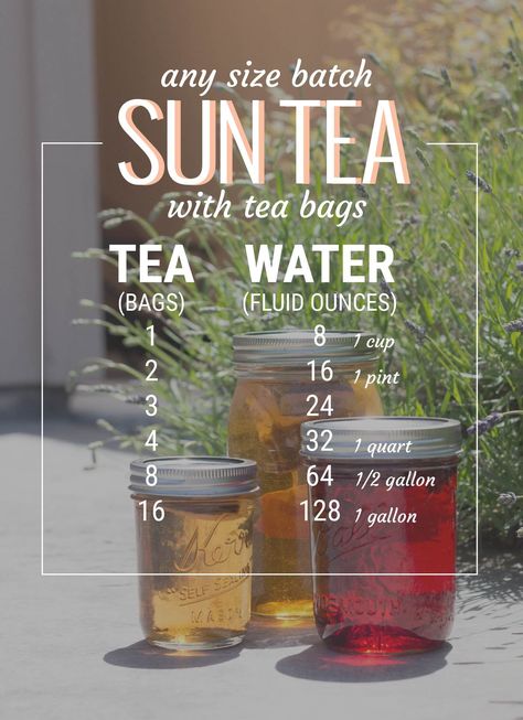 sun tea guide for tea bags // picklejarstudios.com Sun Tea Recipes, Tea Guide, Sun Tea, Iced Tea Recipes, Pickle Jars, Eat Better, Rachael Ray, Brewing Tea, Tea Blends