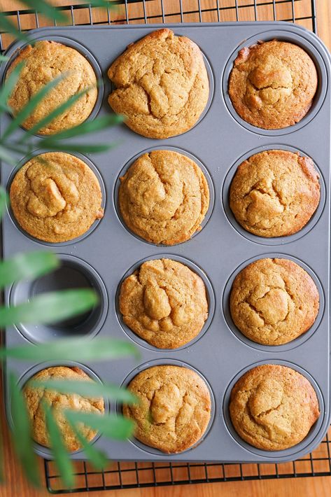 Almond Flour Pumpkin Muffins, Almond Flour Pumpkin, Paleo Pumpkin Muffins, Gluten Free Pumpkin Recipes, Gluten Free Pumpkin Muffins, Pumpkin Muffin Recipes, Pumpkin Pudding, Chocolate Babka, Pumpkin Chocolate Chip Muffins