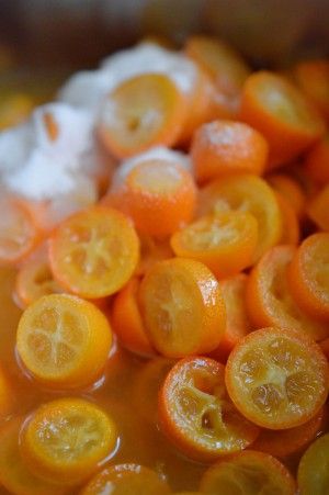 This Vanilla Kumquat Jam Recipe is great as a spread, dessert topping or condiment. This easy compote style jelly will add bright, citrus flavor to any dish! Kumquat Marmalade Recipes, Kumquat Jam, Kumquat Recipes Desserts, Kumquat Marmalade, Marajuana Recipes, Bienenstich Recipe, Herring Recipes, Kumquat Recipes, Crostata Recipe