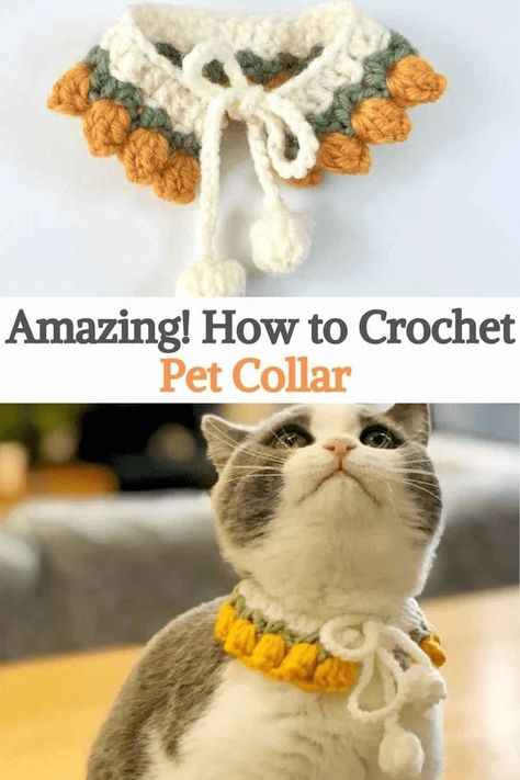 Crochet Pet Collar, Crochet Cat Collar, Crochet Pet, Chat Crochet, Crochet Decor, Crochet Sewing, Knit Projects, Mode Crochet, Pola Amigurumi