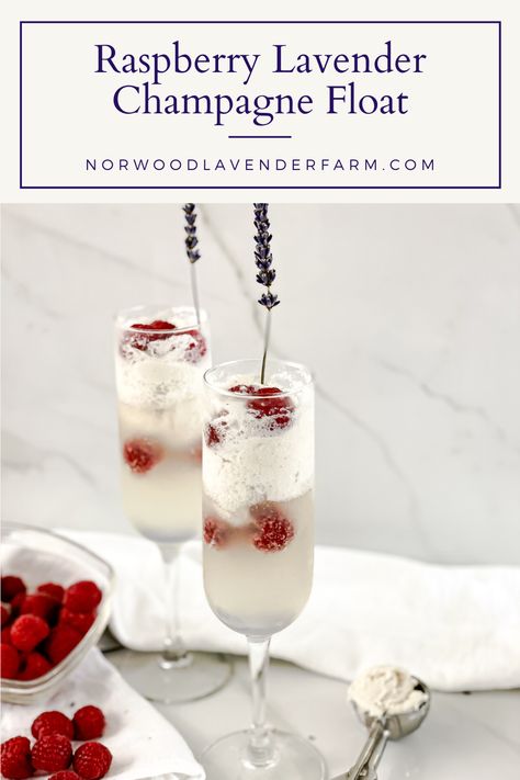 You will enjoy this bubbly Champagne Float for your next celebration. Easy and elegant this the perfect cocktail recipe for any occasion! Lavender Champagne, Champagne Float, Lavender Simple Syrup, Lavender Cocktail, Cocktail Champagne, Cocktail Recipes Easy, Champagne Cocktail, Perfect Cocktails, Easy Cocktails