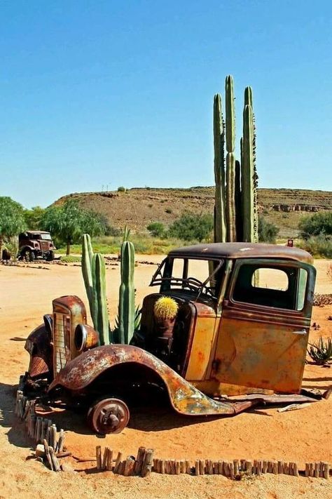 Abandoned Nature, Cars Photography, Cars Ideas, Rusty Cars, Old Truck, Photography Vintage, Abandoned Cars, Cactus Garden, Vintage Trucks