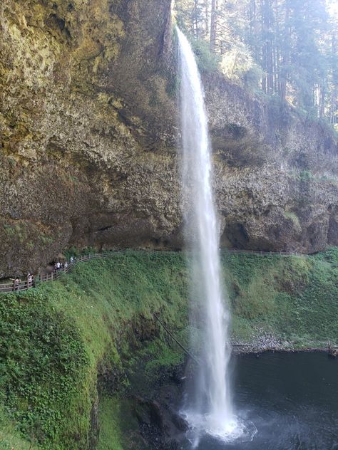 Silver Creek Falls Oregon, Oregon Travel, Oregon, Water, Silver, Travel, Nature