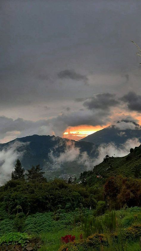 Kodaikanal Aesthetic, Sumber Daya Alam, Kodaikanal, Mountains Aesthetic, Waterfall Pictures, Best Photo Background, Amazing Nature Photography, Pretty Landscapes, Beautiful Locations Nature