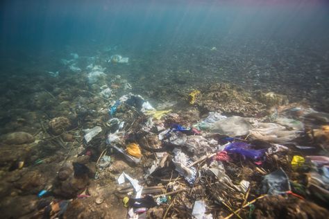 Plastic In The Sea, The Bottom Of The Ocean, Sunken City, Bottom Of The Ocean, Plant Based Nutrition, Plastic Pollution, Plastic Waste, Deep Sea, Holiday Festival