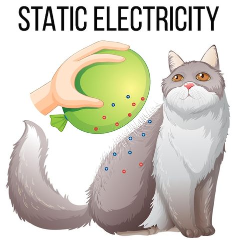 Static Electricity Experiments, Electricity Experiments, Static Electricity, Beaded Jewelry Tutorials, Kids Poster, Cat Illustration, Science Experiments, Graphic Resources, Physics