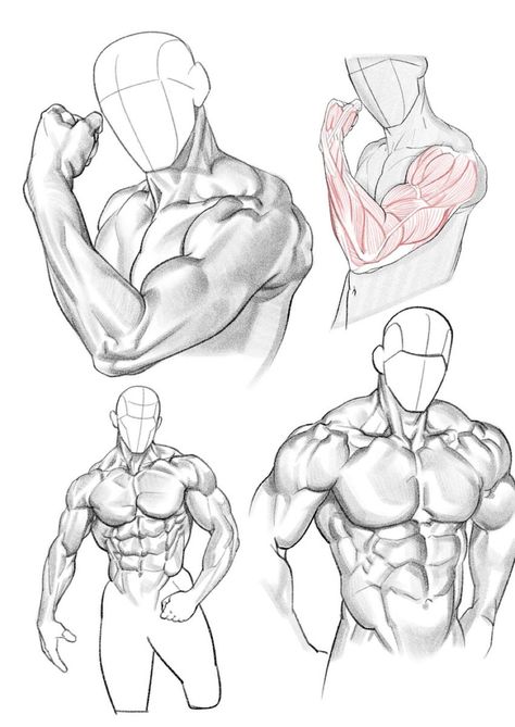 Parts Of Body Drawing, Model Training, Parts Of Body, Male Art Reference, Art Of Drawing, Sketch Poses, Body Sketches, Human Anatomy Drawing, Human Anatomy Art