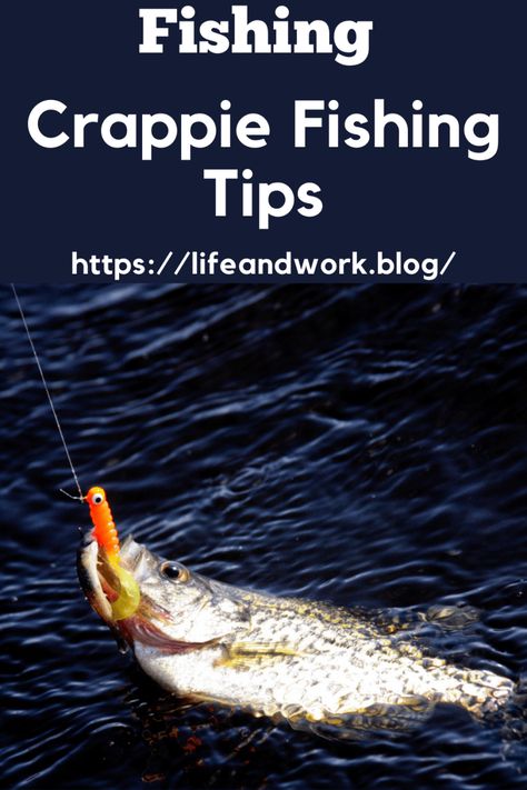 Crappie Fishing Tips Crappie Fishing Tips, Trout Fishing Tips, Fishing For Beginners, Bass Fishing Tips, Crappie Fishing, Fishing Techniques, Fish Finder, Fishing Knots, Lake Fishing