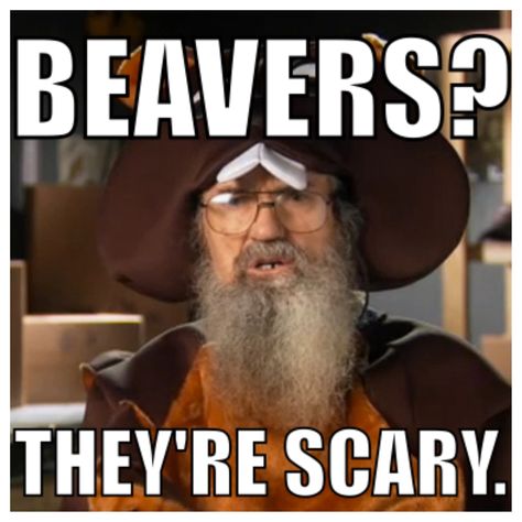 Uncle Si Funny Uncle Pics, Uncle Toms Cabin Quotes, Western Humor, Si Robertson, Duck Dynasty Humor, Uncle Memes Funny, Duck Dynasty Quotes, Uncle Si, Ford Jokes