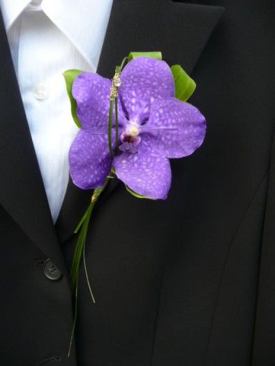 Orchid Buttonhole, Wedding Redo, Orchid Corsage, Orchid Boutonniere, Orchid Corsages, Pink Boutonniere, Brighton Sussex, Corsage And Boutonniere Set, Vanda Orchids