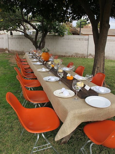 Thanksgiving | Fall Design Tablescape Thanksgiving Backyard Ideas, Outdoor Thanksgiving Dinner, Outdoor Thanksgiving Decor, Thanksgiving Decor Table, Outdoor Thanksgiving Table, Easy Diy Thanksgiving Decorations, Thanksgiving Dinner Decor, Thanksgiving Decorations Outdoor, Thanksgiving Table Settings Simple