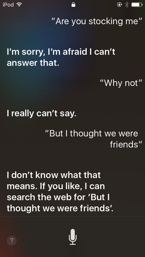 What Not To Ask Siri, What To Ask Siri, Ask Siri, Things To Ask Siri, Bad Jokes, I'm Afraid, What Happens When You, Meant To Be, Quick Saves