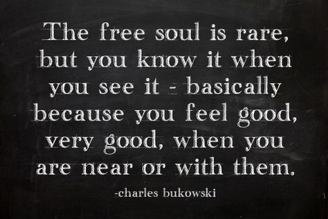 The Free Soul life quotes quotes quote happiness life quote soul Free Soul, Bohol, Charles Bukowski, Bukowski, A Quote, Free Spirit, Great Quotes, Beautiful Words, Mantra