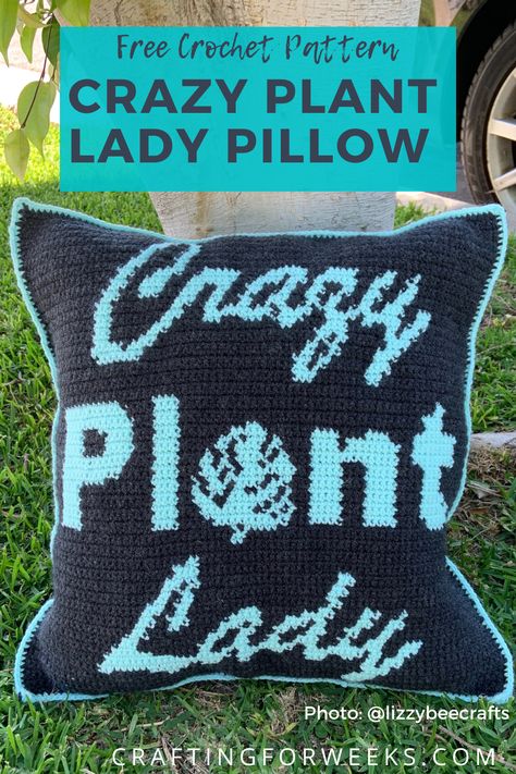 Free Crochet Pillow Patterns, Making Blankets, Cottage Crochet, Fair Isle Crochet, Crochet Pillow Patterns Free, Word Pillow, Crochet Decor, Crazy Plant Lady, Crochet Pillow Cover