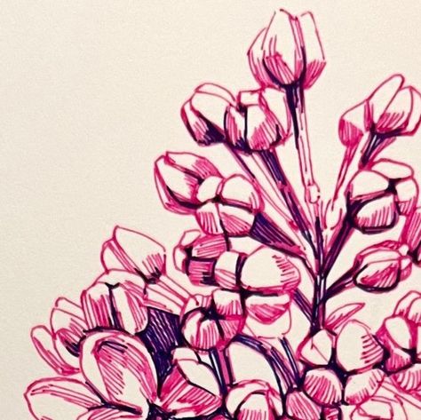 16K likes, 68 comments - kristin nohe juchs (@kristinnohejuchs) on Instagram: "🪻lilacs in bloom🪻 Unfortunately I made most of this drawing in a dimly lit room 🥴. Just..." Pink Pen Drawing, Lilac Drawing, Purple Drawing, Gel Pen Art, Purple Pen, Pink Pens, Indie Drawings, Botanical Drawings, Pen Art