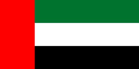 Learn more about #teaching English abroad in the #UnitedArabEmirates: http://www.americantesol.com/teach-in-United-Arab-Emirates.htm Emirates Flag, Uae Flag, الإمارات العربية المتحدة, Ras Al Khaimah, Buy Bitcoin, Flags Of The World, Amman, State Flags, Flag Colors