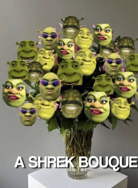 Shrek Birthday, Shrek Funny, Funny Happy Birthday Pictures, Birthday Presents For Friends, Happy Birthday Meme, Happy Birthday Pictures, Funny Happy Birthday, Birthday Meme, Birthday Board