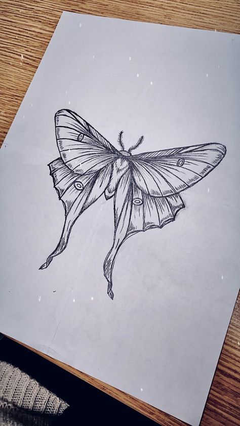 Lunar Moth Above Knee Tattoo, Luna Moth Above Knee Tattoo, Pretty Moths Tattoo, Moth Tattoo Design Knee, Lunar Moth Sketch, Moth And Snake Tattoo, Luna Moth Tattoo Design Simple, Moth Under Knee Tattoo, Moth Tattoo Back Of Arm