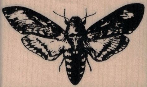 Moth Stamp, Deathhead Moth, Bug Stamp, Moth Drawing, Insect Tattoo, Deaths Head Moth, Moth Tattoo, Butterfly Stamp, Tattoo Project