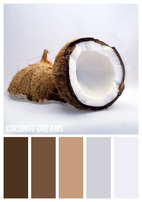 Coconut dreams Coconut Pastry, November Themes, Chocolate Pineapple, Chocolate Branding, Paint Palettes, Coconut Dream, Paint Your House, Color Palette Challenge, Pineapple Coconut