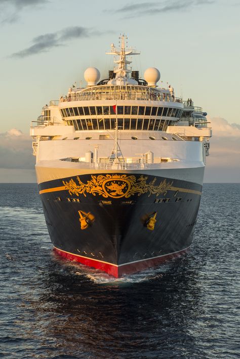 Cruising is a Great Tropical Getaway Disney Questions, Disney Wonder Cruise, Disney Activities, Disney Wonder, Disney Ships, Freedom Travel, Castaway Cay, Florida Resorts, Nassau Bahamas