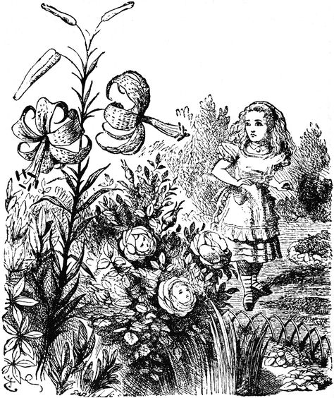 Tiger Lily Alice In Wonderland Original, Alice In Wonderland Illustrations, John Tenniel, Alice And Wonderland Quotes, Wonderland Quotes, Hans Christian, Lewis Carroll, Adventures In Wonderland, Through The Looking Glass