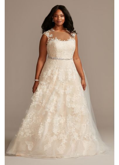 Applique Point D'Esprit Plus Size Wedding Dress 9WG3980 Plus Wedding Dresses, Wedding Dress Style, Plus Size Wedding Dress, Wedding Dress Gallery, Davids Bridal Wedding Dresses, Curvy Bride, Davids Bridal Dresses, Illusion Neckline, Chapel Train