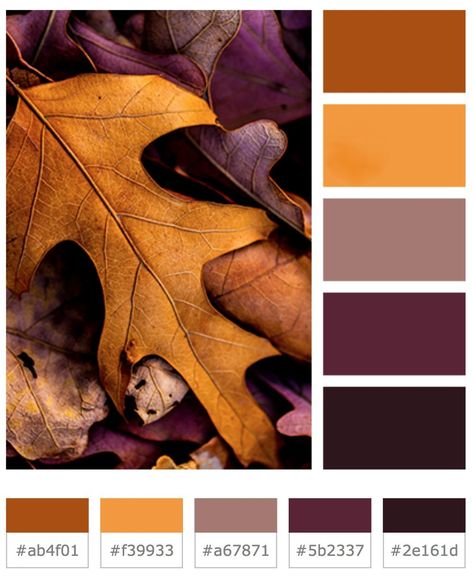 color story 01 Eggplant And Rust Color Palette, Color Harmony Combination, Rust And Plum Color Schemes, Fall Color Palette With Purple, Color Pallet Character Design, Halloween Color Palette 2023, Samhain Color Palette, September Color Scheme, Fall Wedding Color Palette November