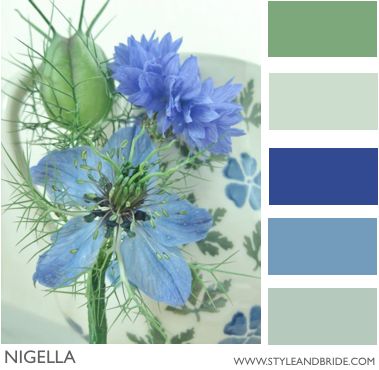 Ombre and Sage Blue Green Kitchen, Fashion Course, Colour Pallettes, Kitchen Colours, Trendy Kitchen Colors, Caravan Ideas, Sage Green Kitchen, Eclectic Cottage, Dark Living Rooms